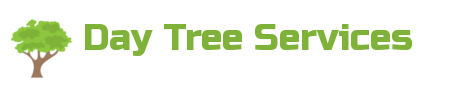 Day Tree Services